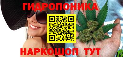 бошки Гатчина