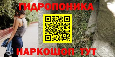бошки Гатчина