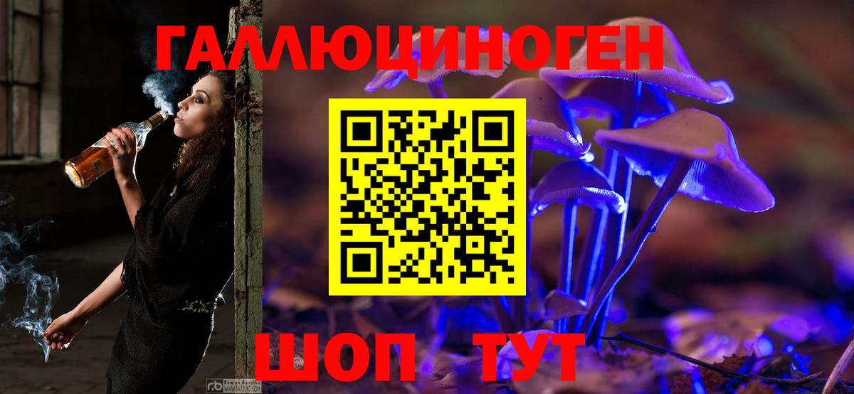 Галлюциногенные грибы прущие грибы  Вход с VPN  Красный Сулин 
