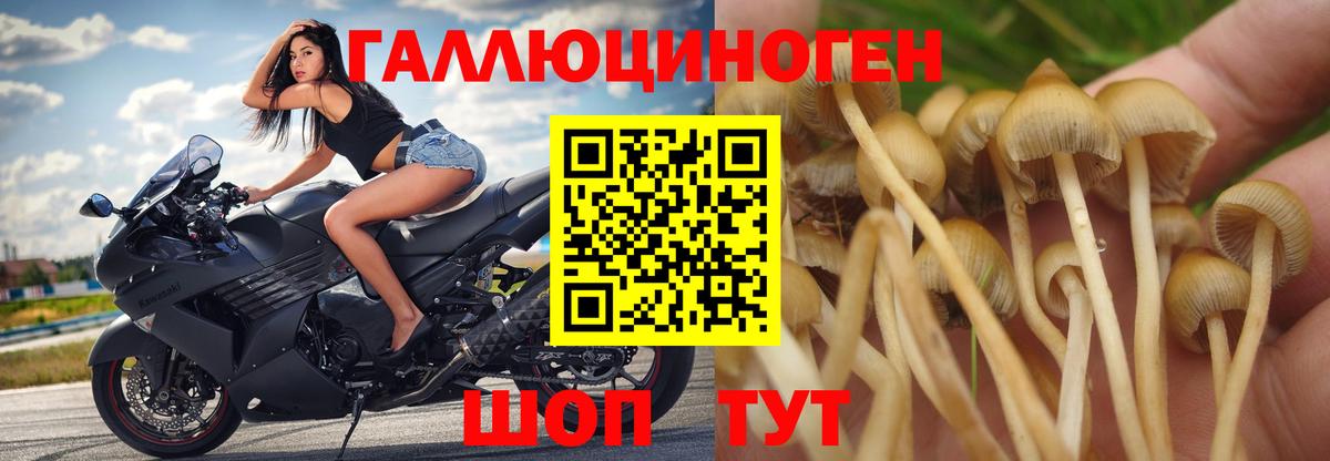 Кокаин  Канабис  Красный Сулин  Меф кристаллы  Вход с VPN  A-PVP СК кристаллы 
