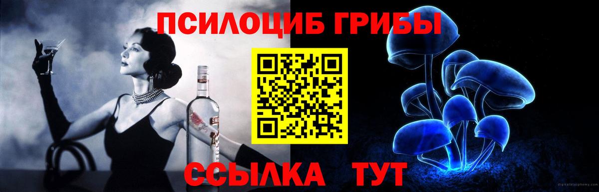 Галлюциногенные грибы Psilocybe Красный Сулин